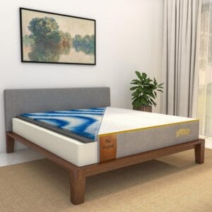 SleepyCat Original Ortho Mattress with AirGen Memory Foam