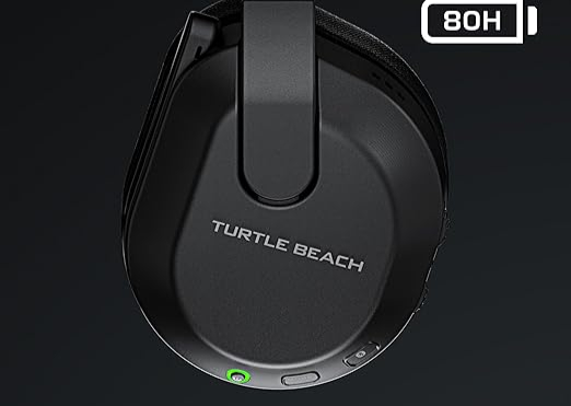 Turtle Beach