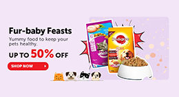 bigbasket offer