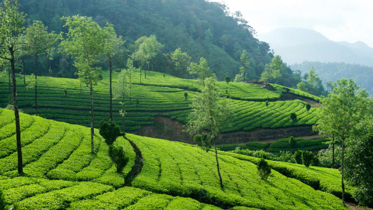 monsoon destinations