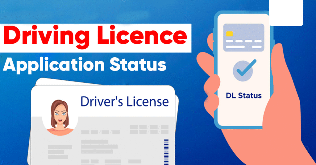 driving licence status