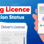 driving licence status