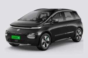 Windsor EV