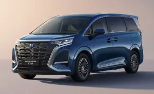 Denza D9