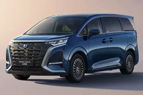 Denza D9